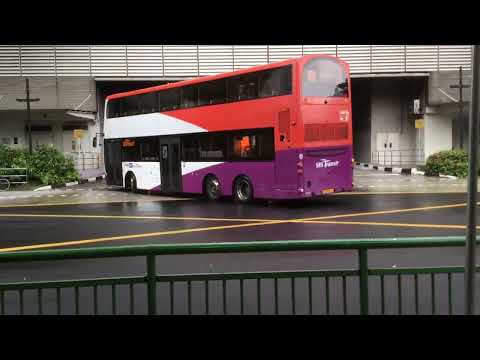 (SBST) Refurbished Scania K230UB On Service 242