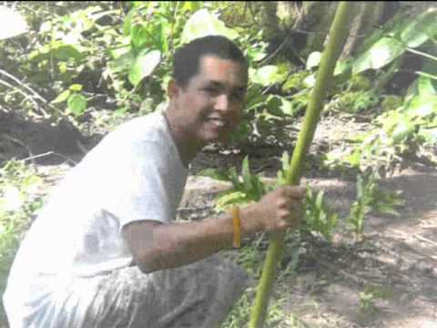 Chamorro Project: The Spanish era