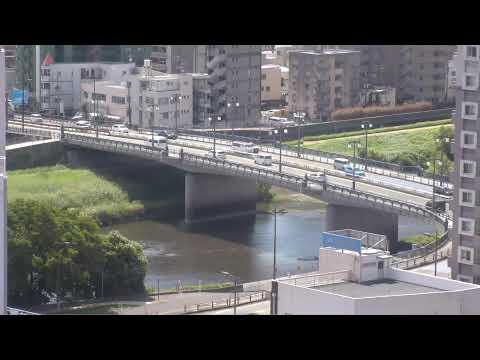 熊本市内 白川のライブカメラ映像