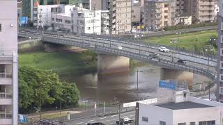 熊本 白川 長六橋