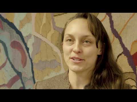 Wildfire, climate change and forest resilience research