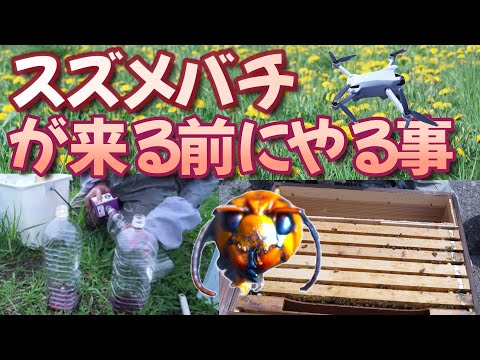 経済学科 晴蜂雨読㉕／スズメバチの季節が来る前に養蜂でやるべき事２つ（2024年5月、その1)／山崎亮一／日英字幕付き／Before wasps come (May 2024, Part 1)／Eng sub