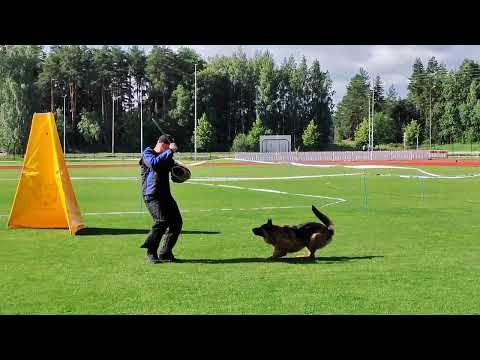 TEAM LEIKSAID EVA, SPL Päänäyttely 2022 rohkeuskoe