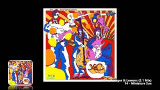 XTC - 14 - Miniature Sun (5.1 Mix)