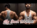 My Current Back Workout and Some other stuff