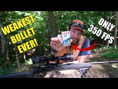 WORLDS WEAKEST BULLET!!! AGUILA .22 COLIBRI