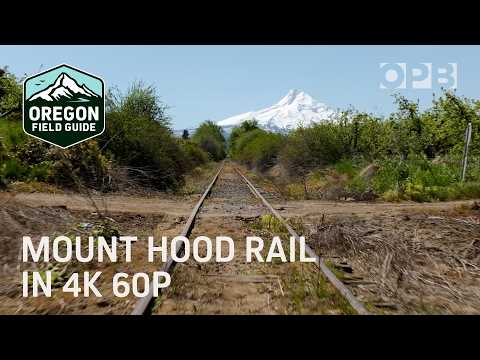 Ride the rails to Mount Hood in 4K 60p -- OPB’s Slow TV