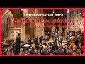 Bach: "Ich steh an deiner Krippen hier" – Choral Nr. 59 aus dem Weihnachtsoratorium