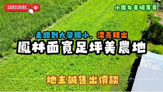 (專任)鳳林大榮國小旁🍀面寬足坪美農地🍀小魔女大推優案（0915-162-176）