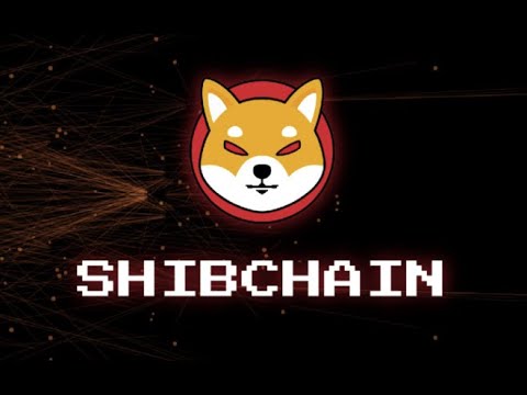 РАЗДАЧА ОТ SHIBACHAIN