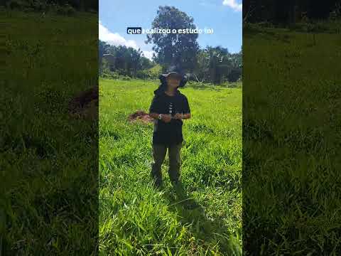 Pegadas de dinossauros em Fortaleza dos Nogueiras MA. #FortalezadosNogueiras #Maranhao #paleo