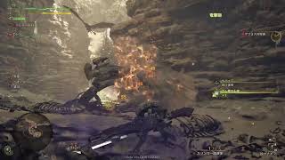 [モンハンワイルズ]スラアクのやつ！