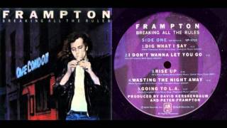 Peter Frampton - Rise up