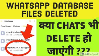 Whatsapp database folder deleted !!!