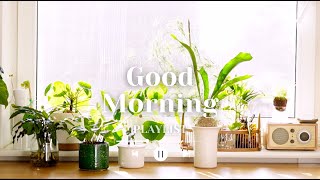 【 Playlist 】Good Morning - 爽やかな朝を迎えるためのプレイリスト(study, work, relax...)