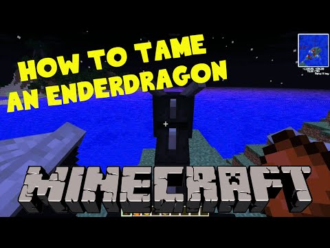 TAMING THE ENDERDRAGON IN MINECRAFT (no mods)