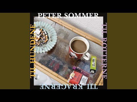 Til rotterne, til kragerne, til hundene - Peter Sommer