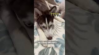 FINAL EPICO! (YouTube no quiere que mires este video) #shorts #tiktok