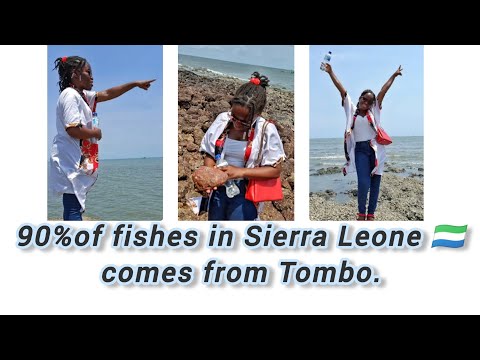 90% of fishes in Sierra Leone 🇸🇱 comes from Tombo community.