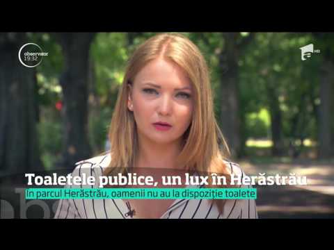 Cel mai mare parc din Capitală nu mai are toalete publice