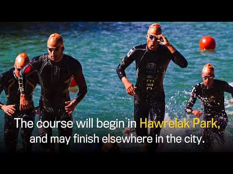 2020 World Triathlon Grand Final