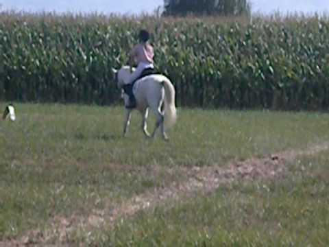 Iboya en Darco op tornooi van LRV