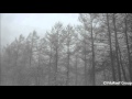 Snowstorm 60 min/Nature Sounds Winter 