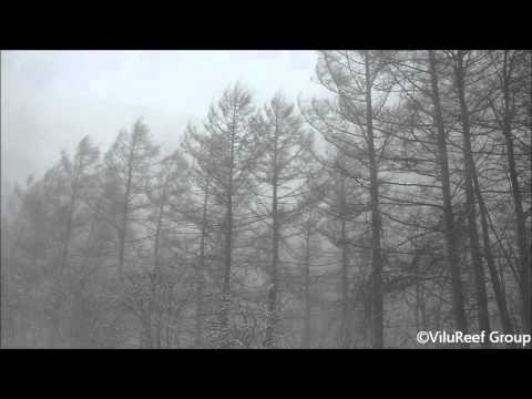 Snowstorm 60 min / Nature Sounds Winter