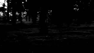 Music video thumbnail preview for FÖRGJORD \ by Förgjord