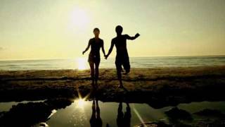 Rotten Bark-Wyspa Marzeń