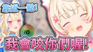😠我會咬你們喔！✨露出小小獠牙的可愛Mococo！FUWAMOCO吃帶皮奇異果的話題又被提到了？🩵🩷【FUWAMOCO】【hololive中文精華】