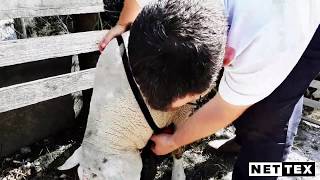 How To Fit a Ram Harness