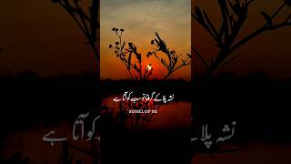 Download lagu Maulana Tariq Jameel shayari |Nasha milake to girana sabko ata hai #shorts #shayari mp3 Download lagu Maulana Tariq Jameel shayari |Nasha milake to girana sabko ata hai #shorts #shayari mp3