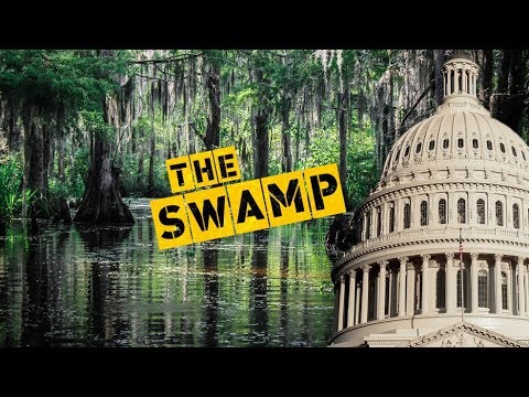FULL MEASURE: February 3, 2019 - The Swamp