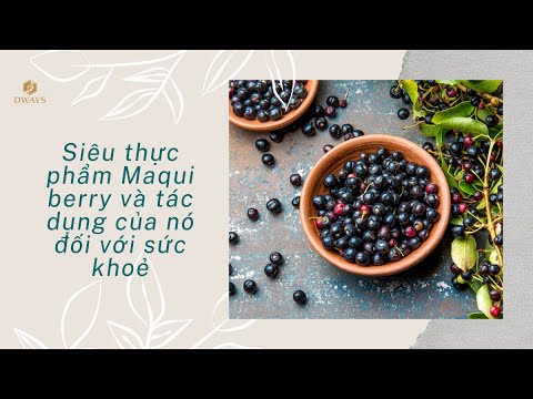 Maqui berry e tác dụng của nó đối với sức khoẻ