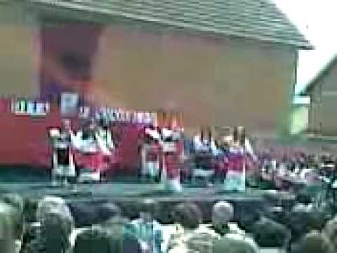 dita shkollesh ne Qendres -shkolla fillore idriz seferi