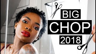 BIG CHOP 2018 + STYLING MY TWA