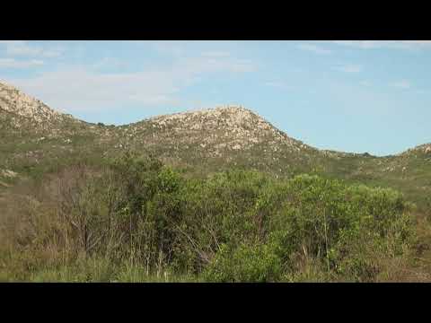 Las Sierras de ROCHA