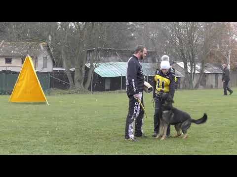 Svod NO 2017 - Chiro Provocativo