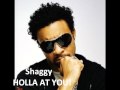 Shaggy holla at you lyrics video