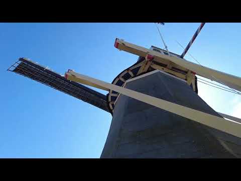 Keukenhof on a Sold Out day in April 2022