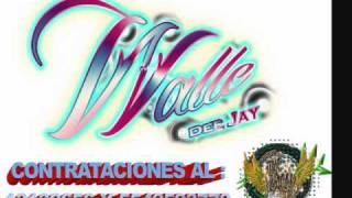 Quitapon dj walle.wmv