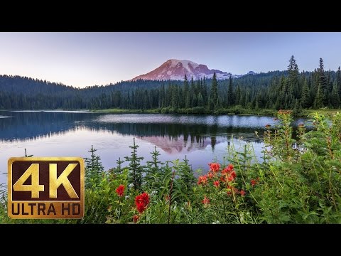 Mount Rainier National Park | 4K Nature Documentary Film Trailer 1