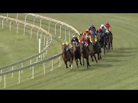 SEEHAAM - Jacaranda Handicap (L) 2021