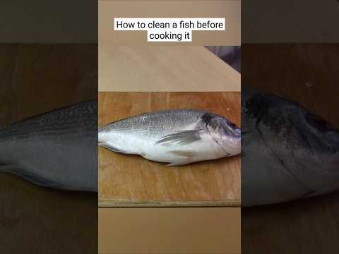 How to clean a fish before cooking it #fish #fishing #Shorts  #FishingLife #FishOn #FishingShorts