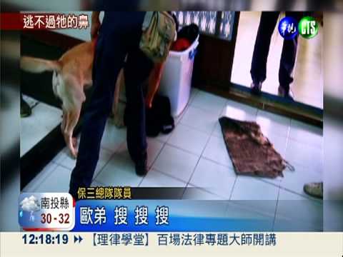 外籍男藏大麻 緝毒犬1分鐘搜毒