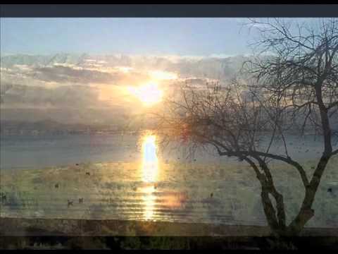 Larin izbor - Samo ljubav ostaje