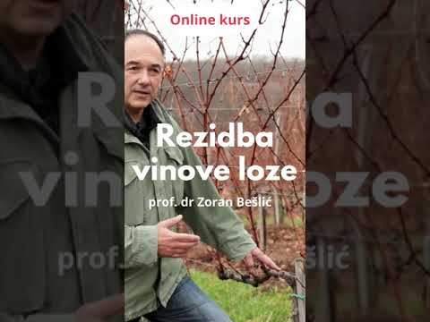 Orezivanje vinove loze - Gijov jednogubi način rezidbe vinove loze. Prof dr. Zoran Bešlić