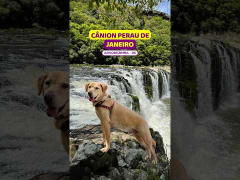 😱Travessia DESAFIADORA no #canionperaudejaneiro #arvorezinha