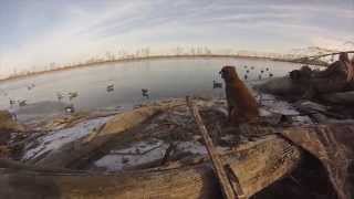 preview picture of video 'Missouri Goose Hunting - GoPro Silver Edition'